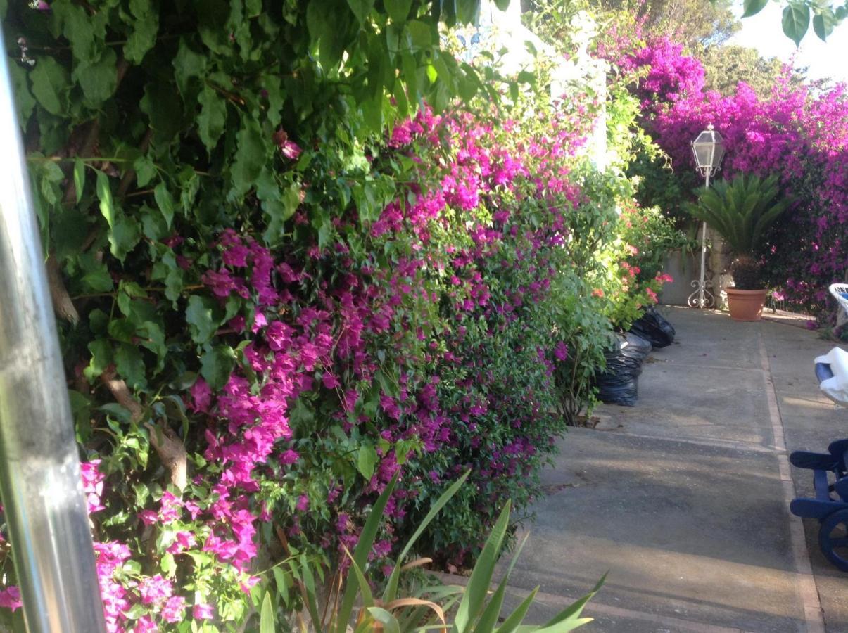 Bb La Guardiia Bed & Breakfast Anacapri  Exterior photo