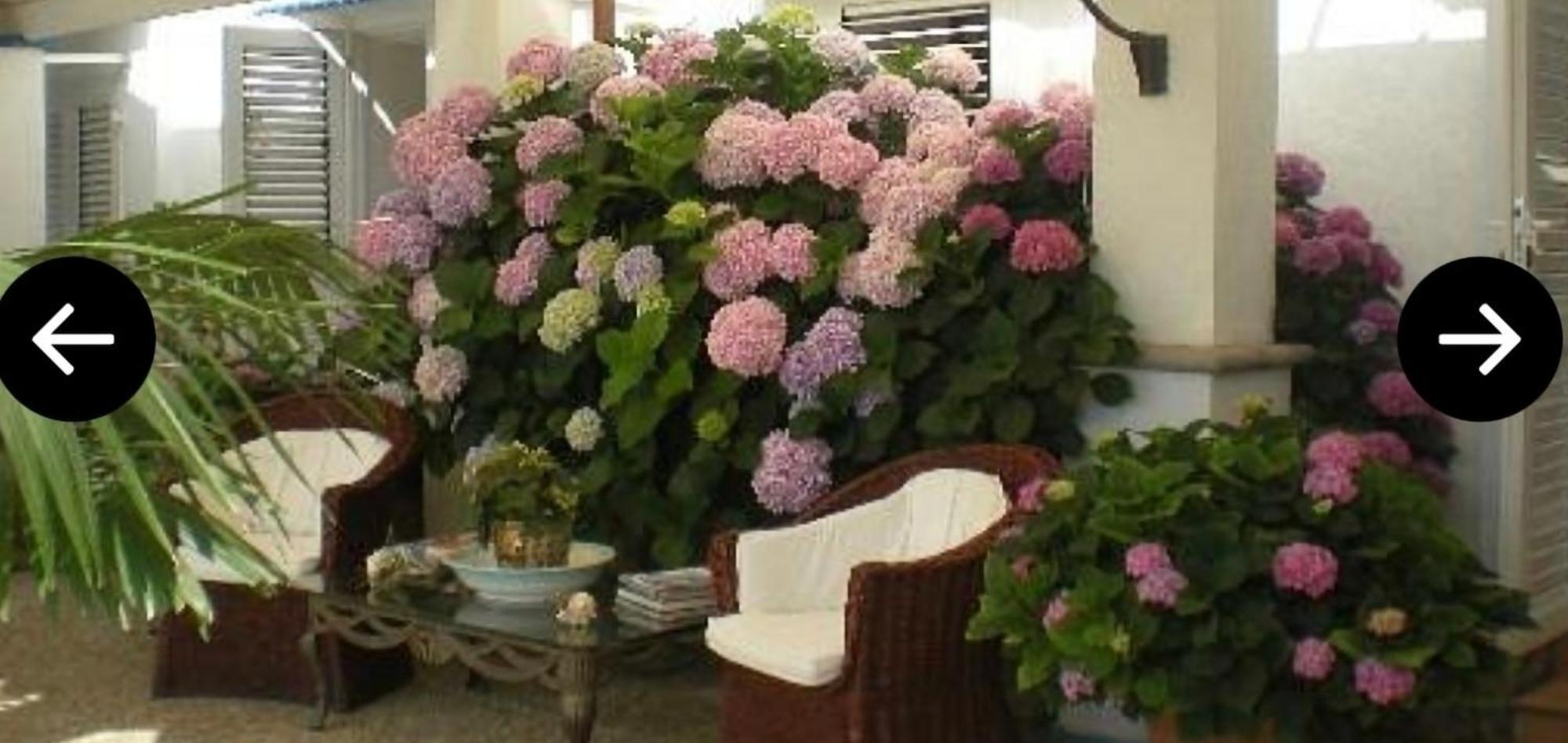 Bb La Guardiia Bed & Breakfast Anacapri  Exterior photo